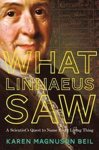 bokomslag What Linnaeus Saw