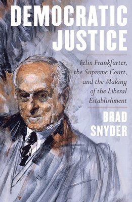 bokomslag Democratic Justice