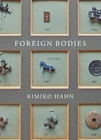 bokomslag Foreign Bodies
