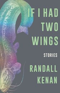 bokomslag If I Had Two Wings - Stories