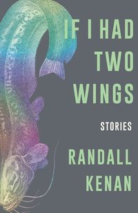 bokomslag If I Had Two Wings: Stories