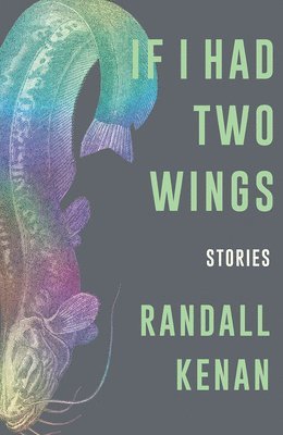 bokomslag If I Had Two Wings: Stories