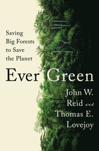 bokomslag Ever Green: Saving Big Forests to Save the Planet