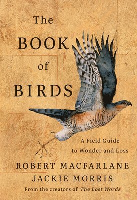 Jackie Morris, Robert Macfarlane - Book of Birds, Inbunden