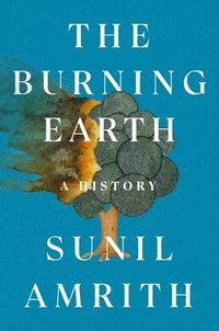 bokomslag The Burning Earth: A History