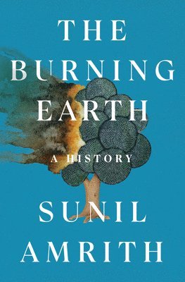 bokomslag The Burning Earth