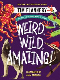 bokomslag Weird, Wild, Amazing! - Exploring the Incredible World of Animals