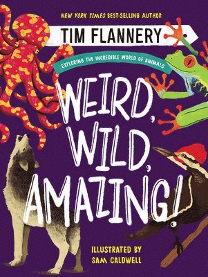 bokomslag Weird, Wild, Amazing! - Exploring the Incredible World of Animals