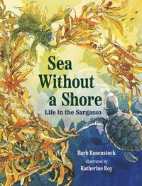 bokomslag Sea Without a Shore: Life in the Sargasso