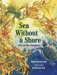 bokomslag Sea Without a Shore - Life in the Sargasso