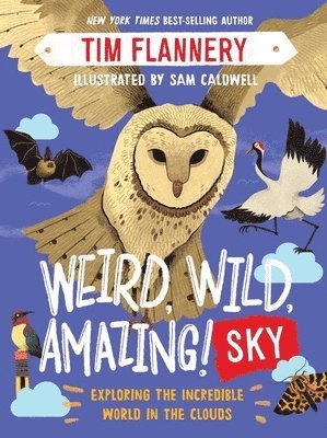 bokomslag Weird, Wild, Amazing! Sky - Exploring the Incredible World in the Clouds