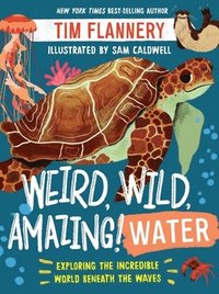 bokomslag Weird, Wild, Amazing! Water - Exploring the Incredible World Beneath the Waves