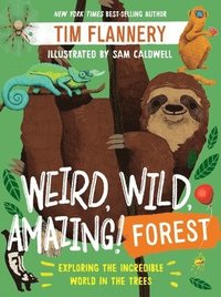 bokomslag Weird, Wild, Amazing! Forest - Exploring the Incredible World in the Trees