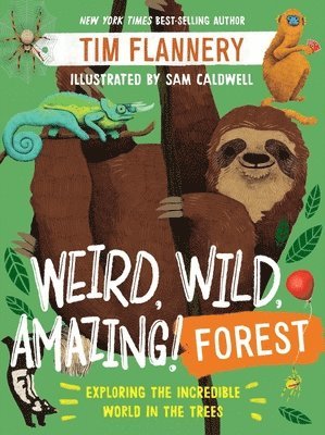 bokomslag Weird, Wild, Amazing! Forest - Exploring the Incredible World in the Trees