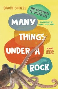 bokomslag Many Things Under a Rock Young Readers Edition: The Mysteries of Octopuses