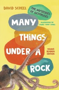 bokomslag Many Things Under a Rock Young Readers Edition - The Mysteries of Octopuses