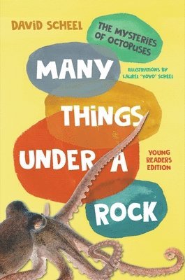 bokomslag Many Things Under a Rock Young Readers Edition