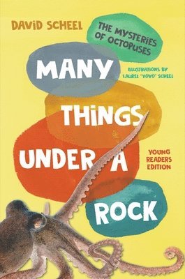 Many Things Under a Rock Young Readers Edition: The Mysteries of Octopuses 1