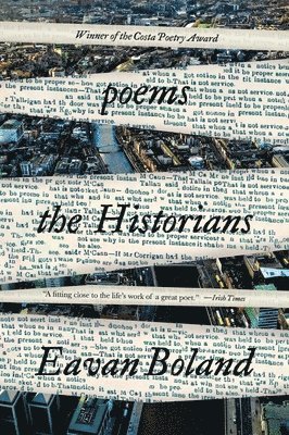 bokomslag Historians - Poems