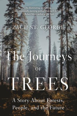 bokomslag Journeys of Trees