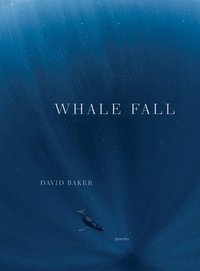 bokomslag Whale Fall