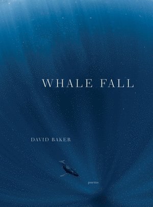 bokomslag Whale Fall