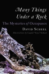 bokomslag Many Things Under a Rock - The Mysteries of Octopuses