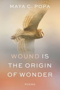 bokomslag Wound Is the Origin of Wonder - Poems