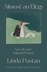bokomslag Almost an Elegy - New and Later Selected Poems