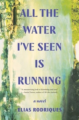 bokomslag All the Water I've Seen Is Running - A Novel