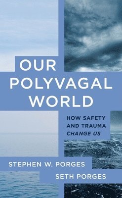 bokomslag Our Polyvagal World