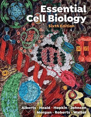 Bruce Alberts, Karen Hopkin, Alexander Johnson, David Morgan, Keith Roberts, Peter Walter, Rebecca Heald - Essential Cell Biology, Häftad