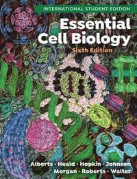 bokomslag Essential Cell Biology