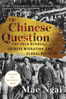 Mae Ngai, Mae (Columbia University) Ngai - Chinese Question, Häftad