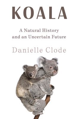 Danielle Clode - Koala, Inbunden