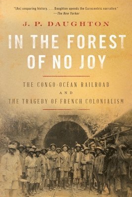 bokomslag In The Forest Of No Joy 8211 The Con