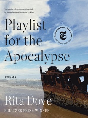 bokomslag Playlist for the Apocalypse