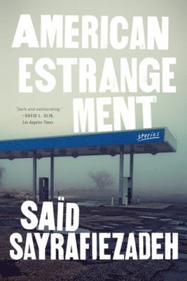 American Estrangement 1