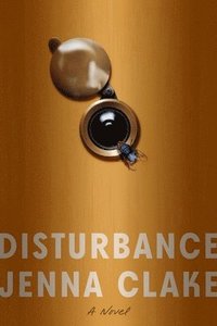 bokomslag Disturbance - A Novel