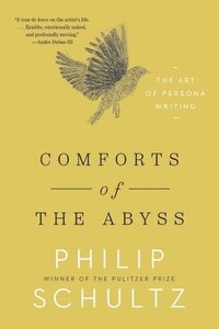 bokomslag Comforts of the Abyss: The Art of Persona Writing
