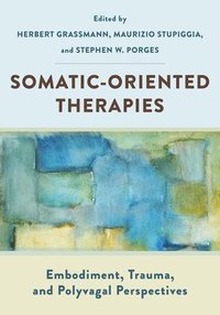 bokomslag Somatic-Oriented Therapies