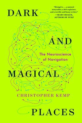 bokomslag Dark and Magical Places - The Neuroscience of Navigation