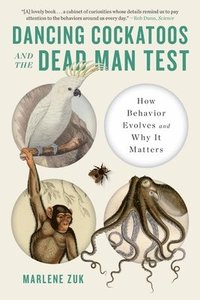 bokomslag Dancing Cockatoos and the Dead Man Test