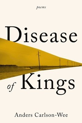 bokomslag Disease of Kings: Poems