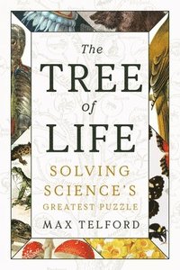 bokomslag The Tree of Life