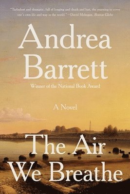 Andrea Barrett - Air We Breathe, Häftad
