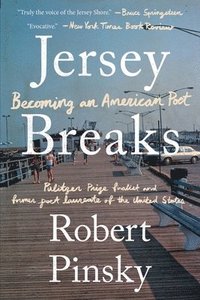 bokomslag Jersey Breaks