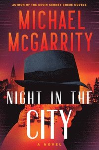 bokomslag Night in the City - A Novel