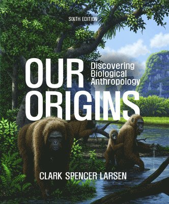 Our Origins 1