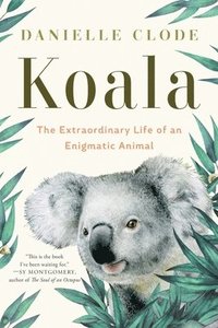 bokomslag Koala